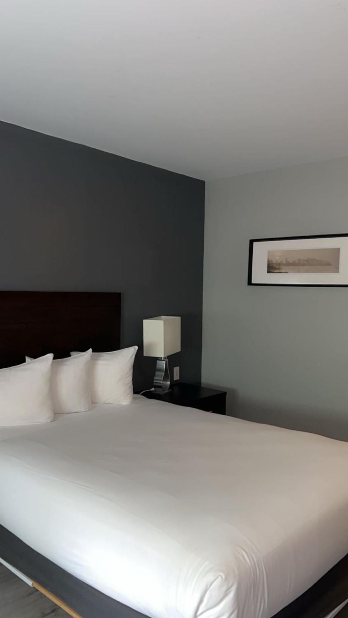 Hotel Newstar مونتريال المظهر الخارجي الصورة